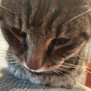 Meet your Posher, Addie